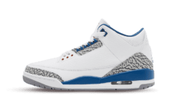 Jordan 3 Retro Wizards